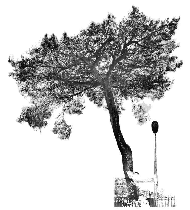 Vue de la galerie pour le projet Modélisation d'un arbre rue Gustave Lemaire à Dunkerque